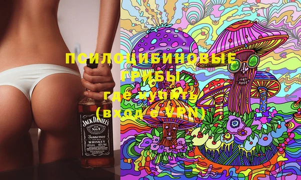 тгк Абинск