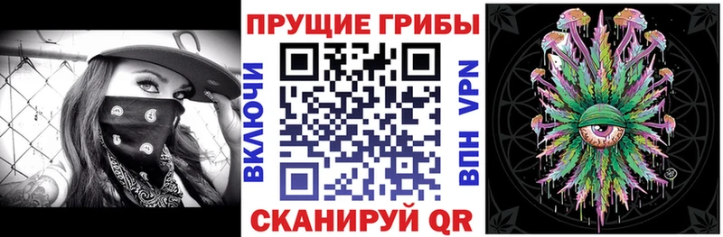 Псилоцибиновые грибы мицелий  Тула 